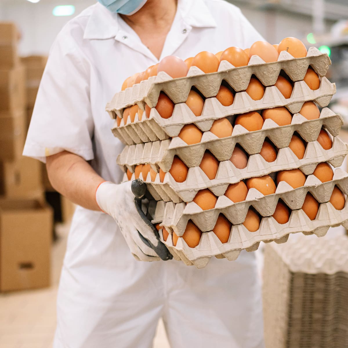 Precio de los huevos desde hoy, lunes 14 de septiembre, en los supermercados: cuánto cuestan en Mercadona, DIA o Carrefour