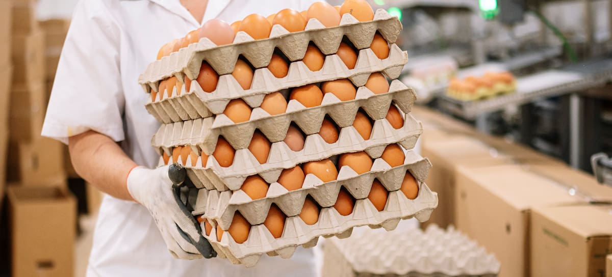 Huevos