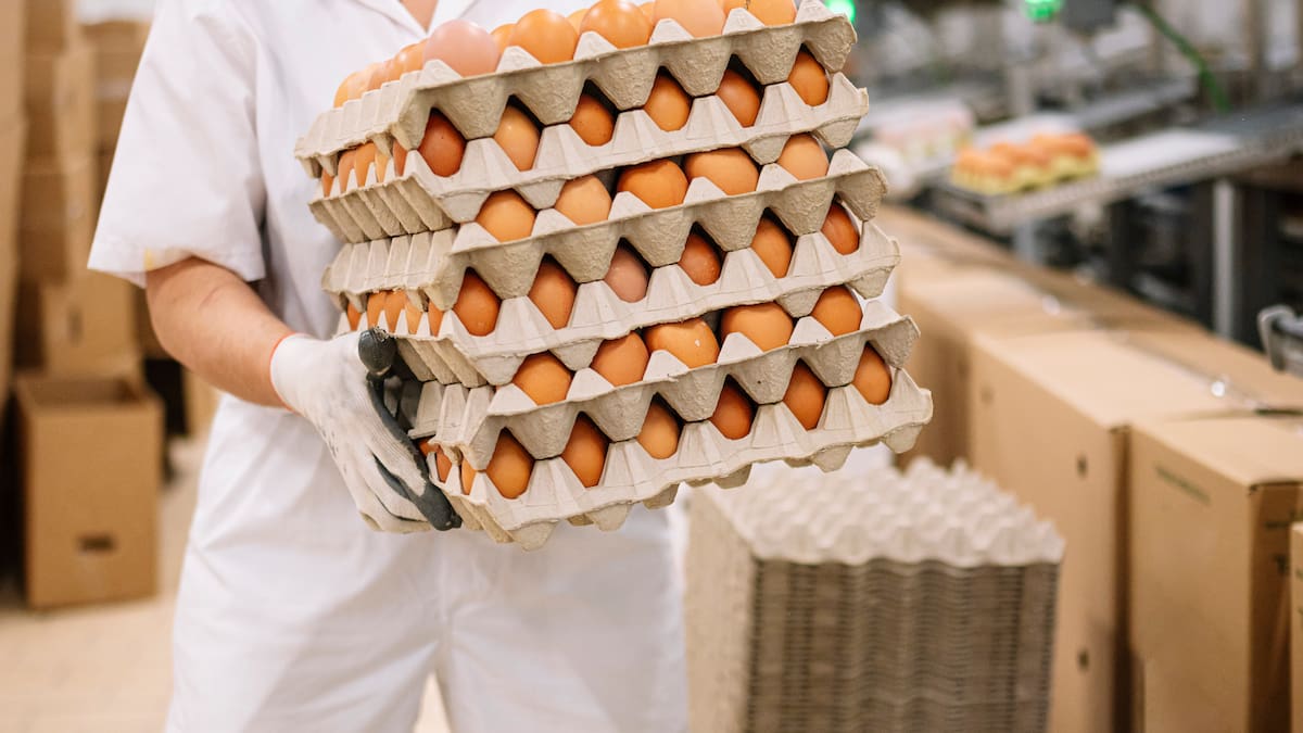Precio de los huevos desde hoy, lunes 14 de septiembre, en los supermercados: cuánto cuestan en Mercadona, DIA o Carrefour