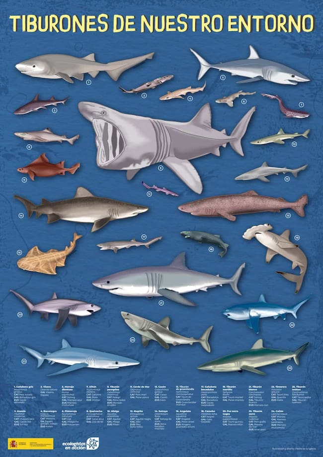 El póster de Ecologistas en Acción.