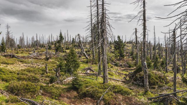 La crisis climática es grave en todo el planeta