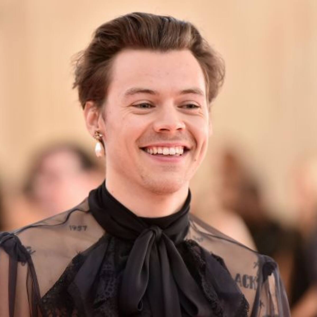 Harry Styles rechazó el papel del "Príncipe Eric" en "La Sirenita"