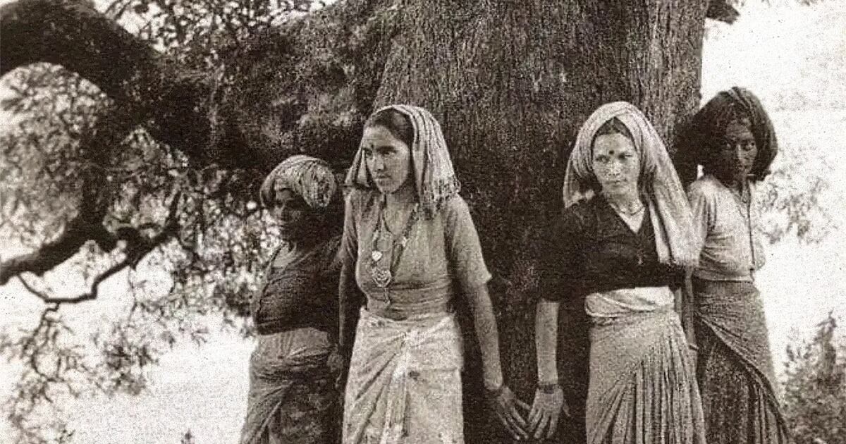 Un grupo de mujeres del movimiento Chipko.