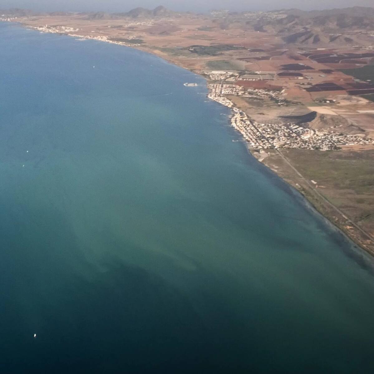 ¿Qué es la mancha blanca en el Mar Menor y por qué es tan preocupante?