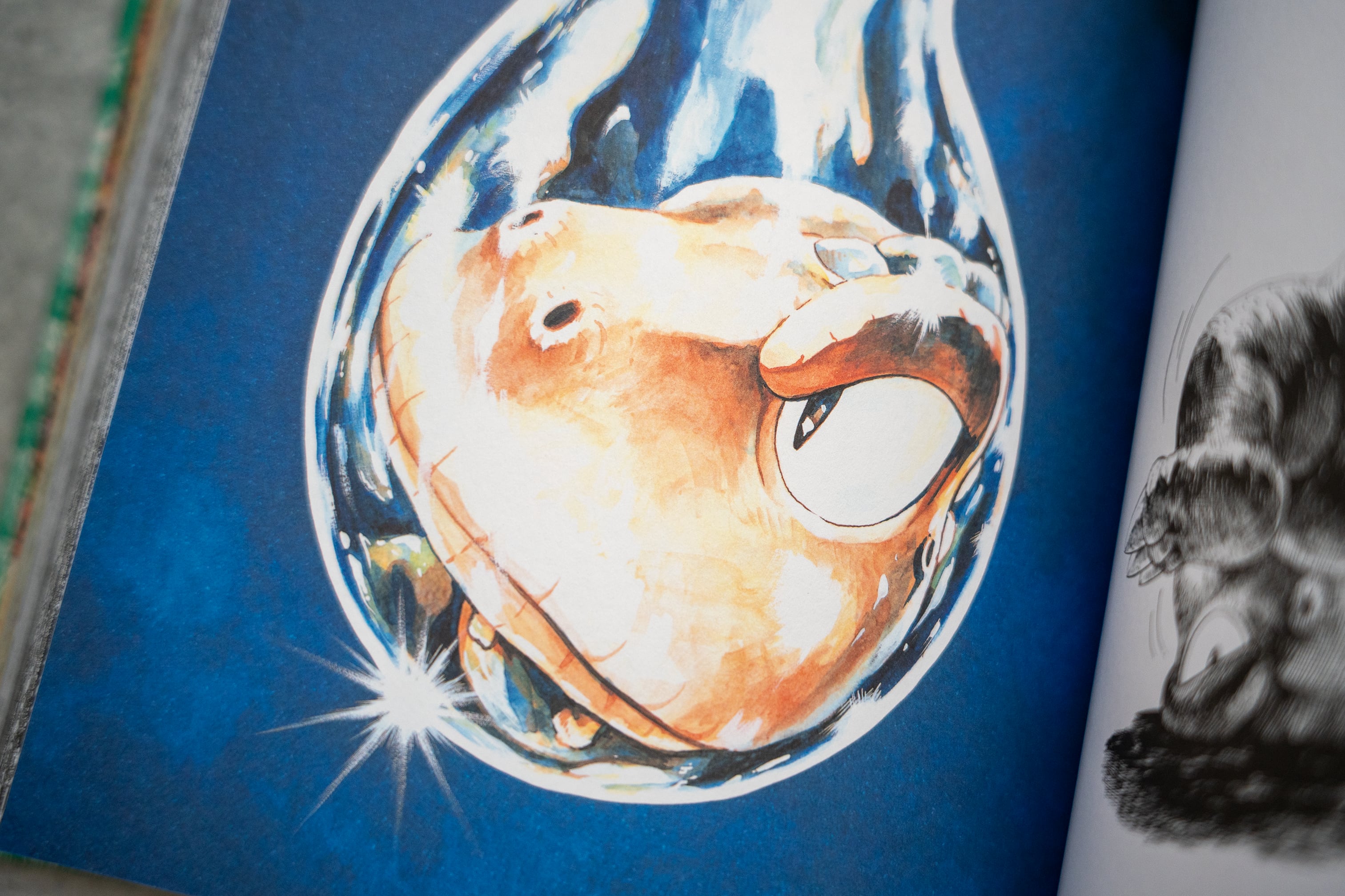 Gon de Norma Editorial