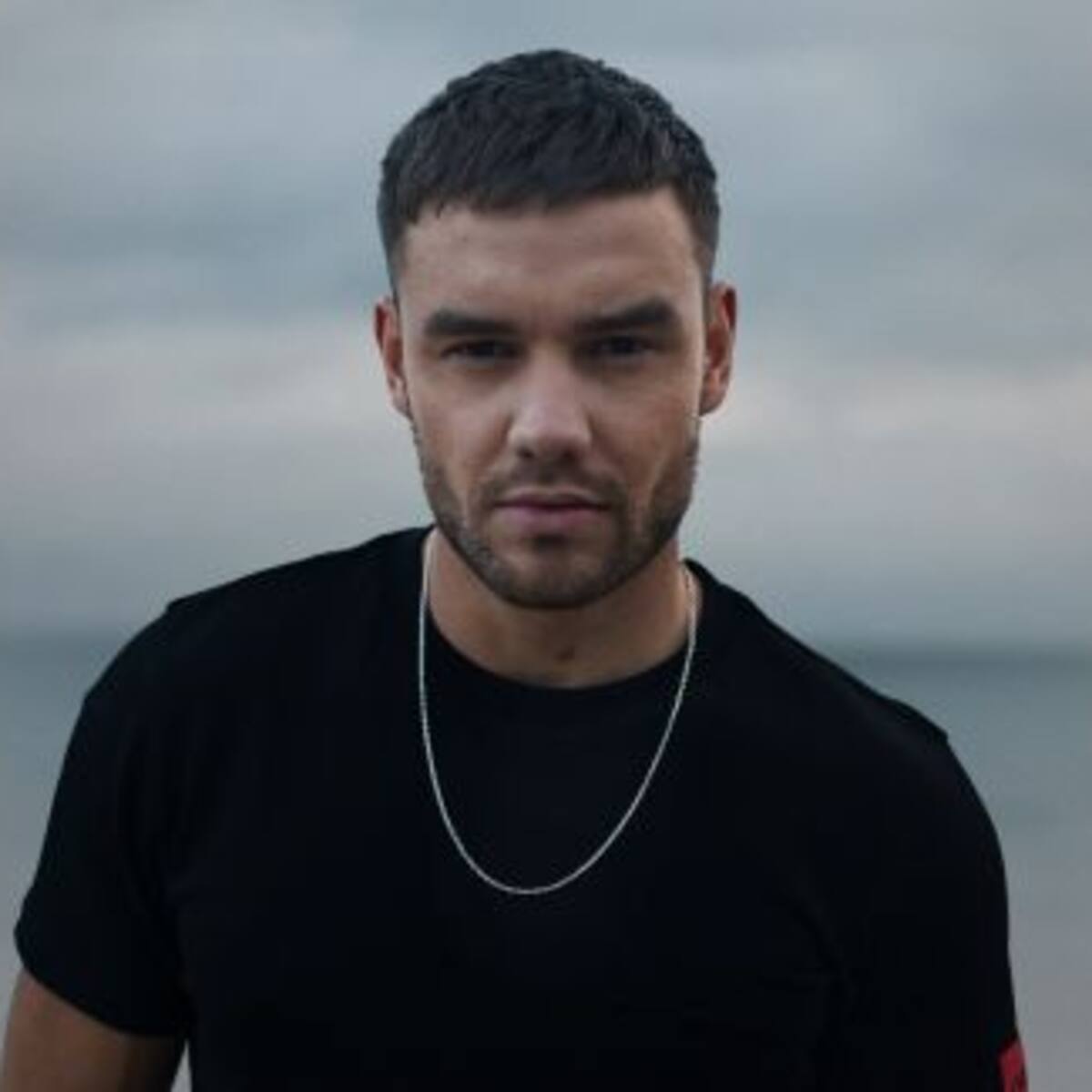LIAM PAYNE ANUNCIÓ SU SHOW EN ARGENTINA