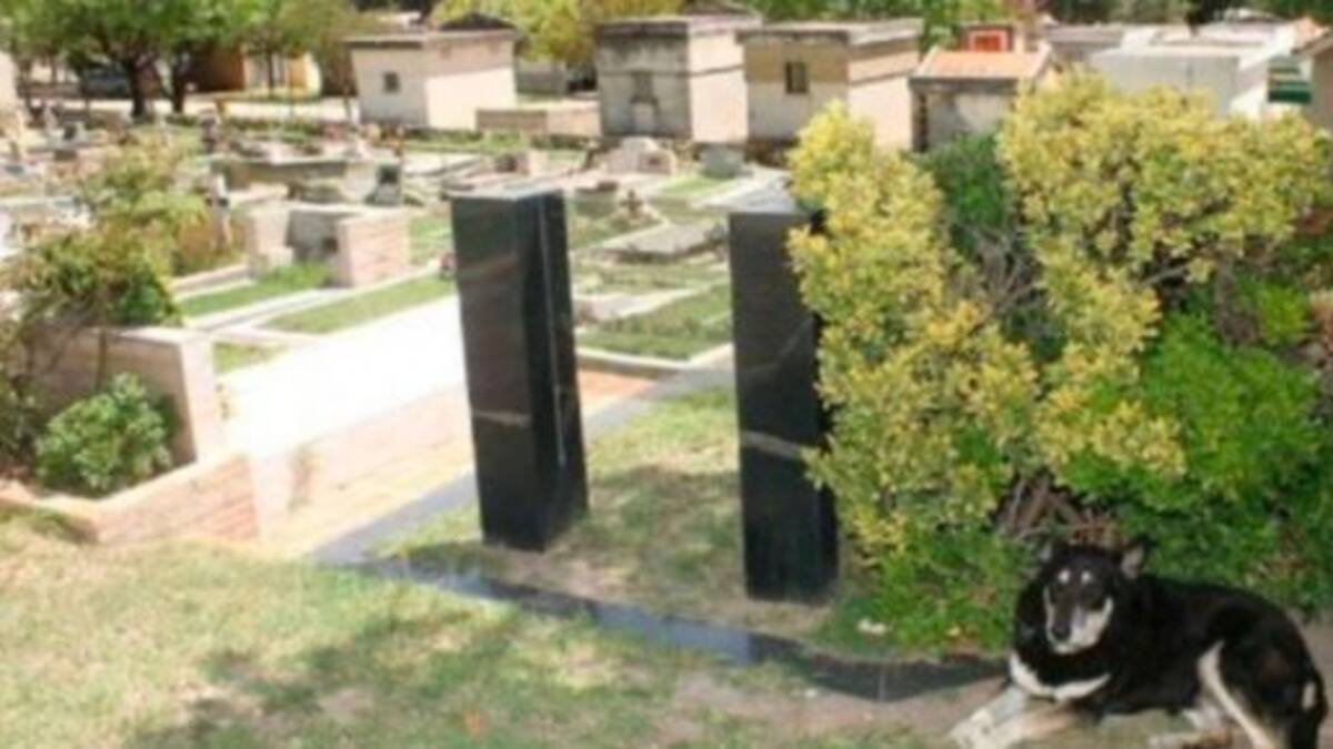 Igual que Hachiko, un perro muere en la tumba de su dueño