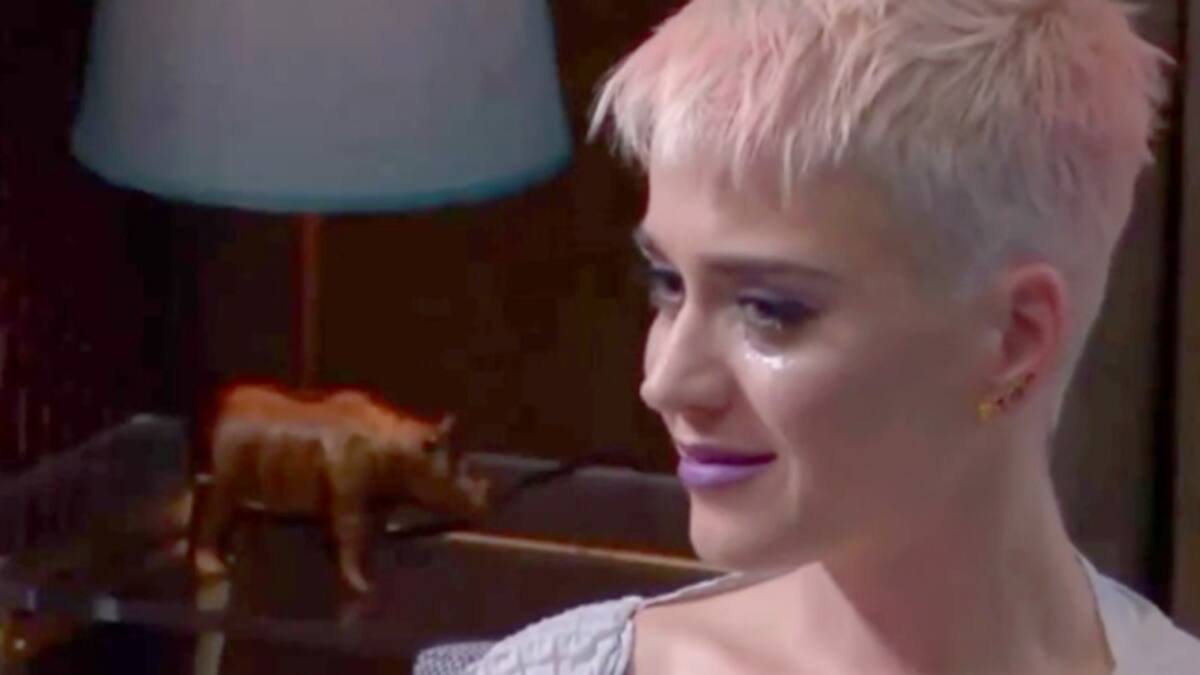 Terapia con Katy Perry