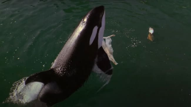 Sabrina Carpenter en 'Manchild'