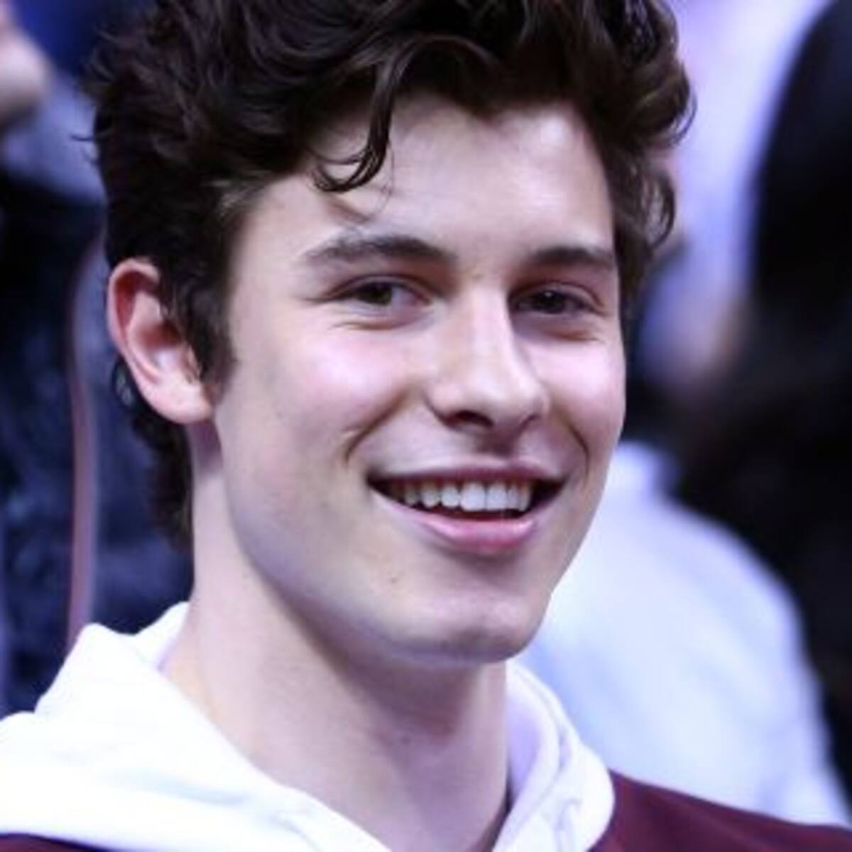 ¿Shawn Mendes le robó un tema a Dua Lipa?