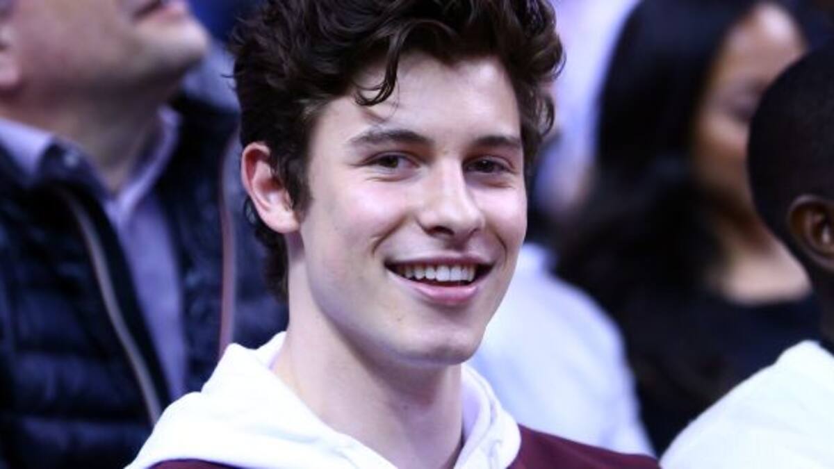 ¿Shawn Mendes le robó un tema a Dua Lipa?
