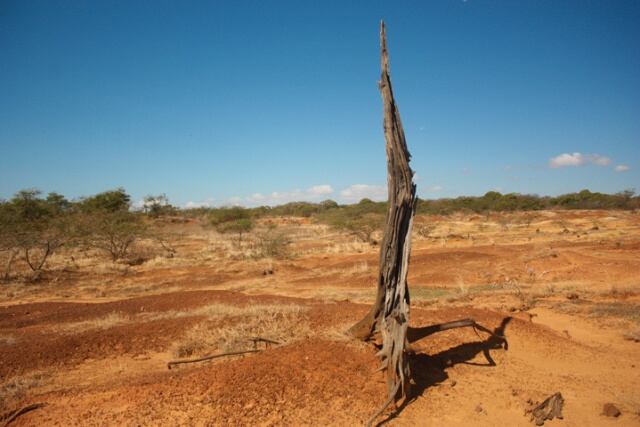 Desierto de Sarigua