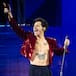 Harry Styles paraliza su concierto por una embarazada: "Creo que deberías ir a hacer pipí"