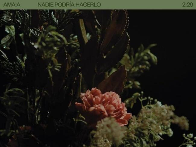 Portada del single 'Nadie podría hacerlo' de Amaia.