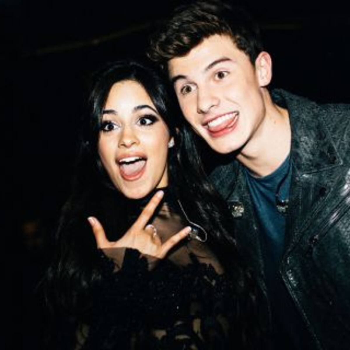 Camila Cabello habló de su supuesto romance con Shawn Mendes