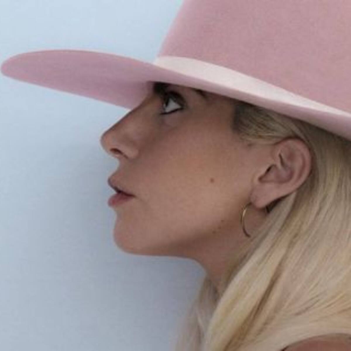 Una Lady Gaga más humana