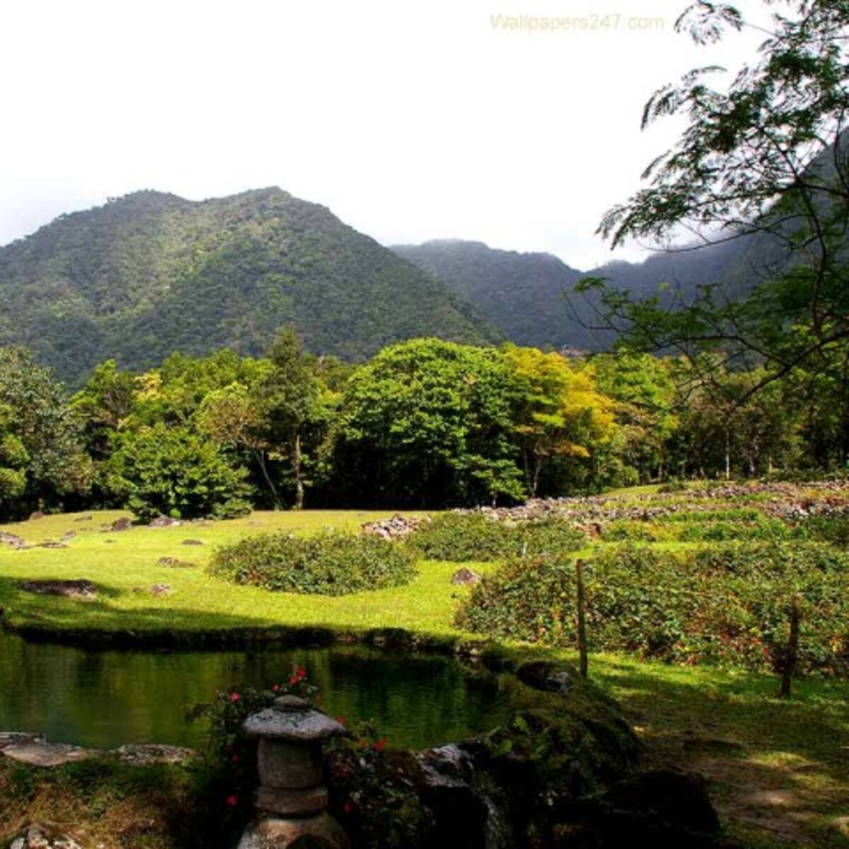 Cerro Azul, un escape del stress de la ciudad