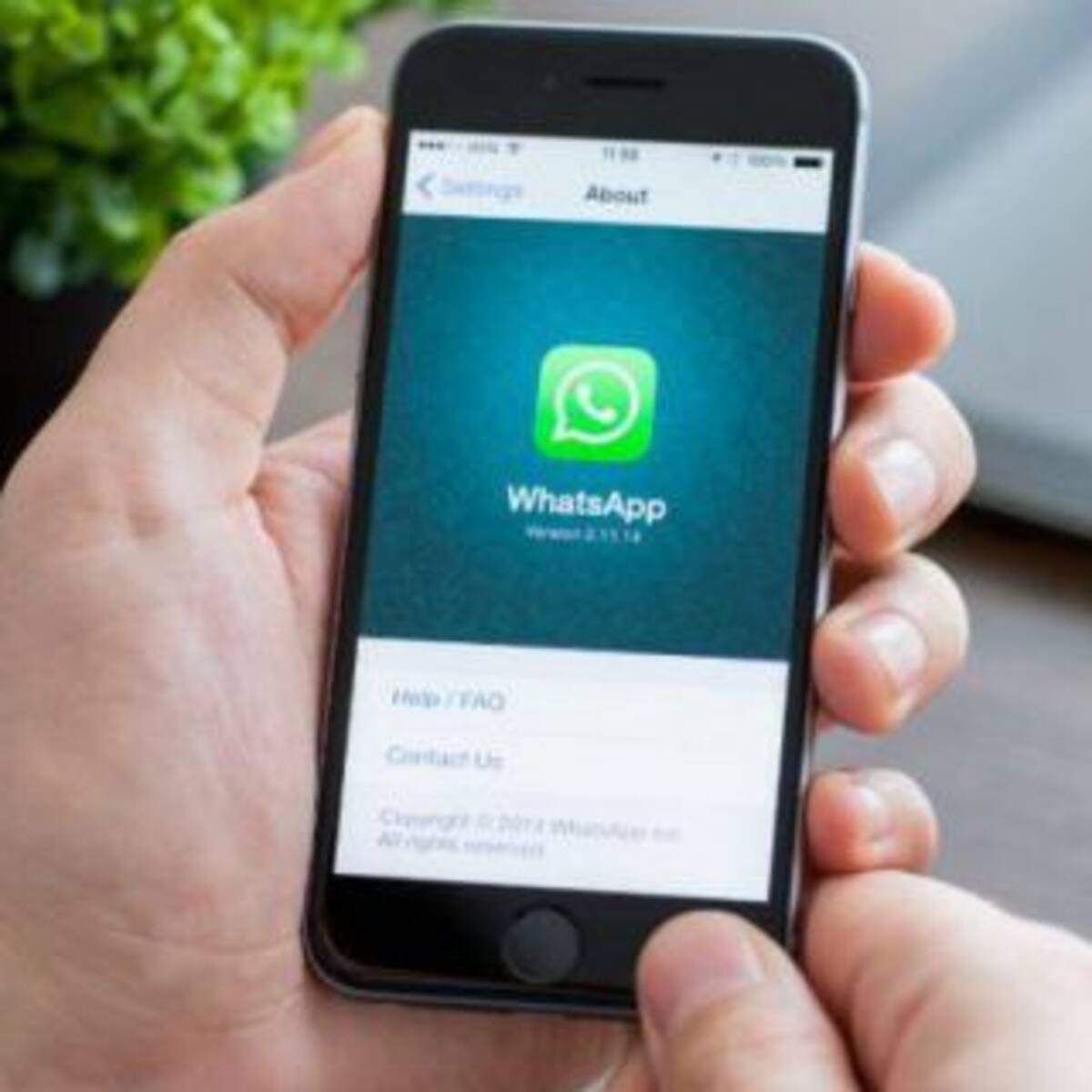 Mirá cómo proteger tus mensajes en WhatsApp