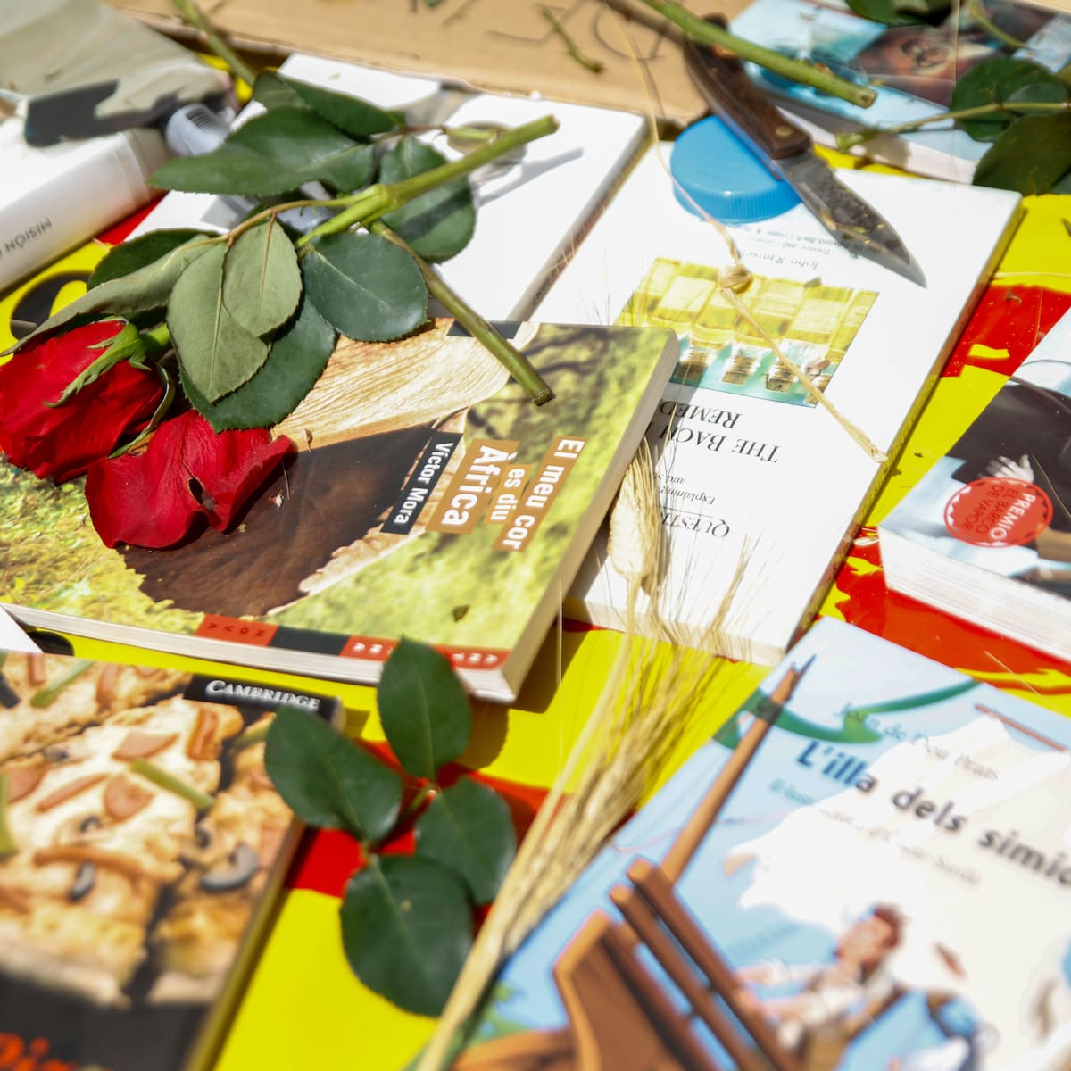 Firmas de libros de Sant Jordi 2026 en Barcelona: programa completo, horario y dónde firma cada autor