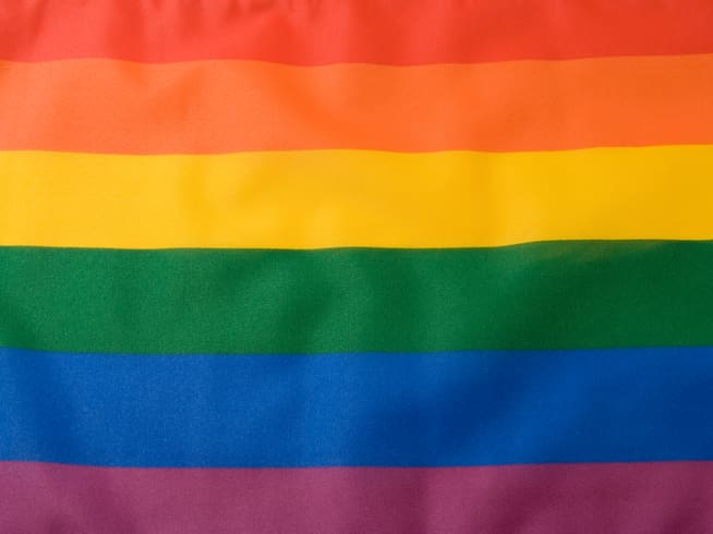 Bandera arcoíris de seis colores (1979)