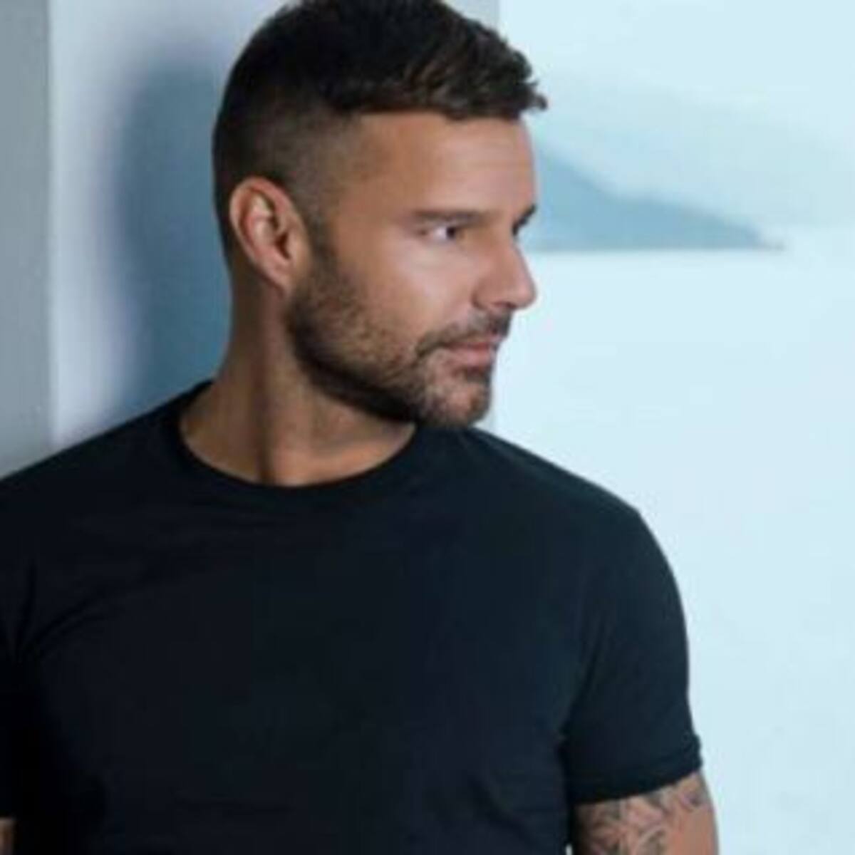 Los hijos de Ricky Martin protagonizaron una divertida entrevista con su padre