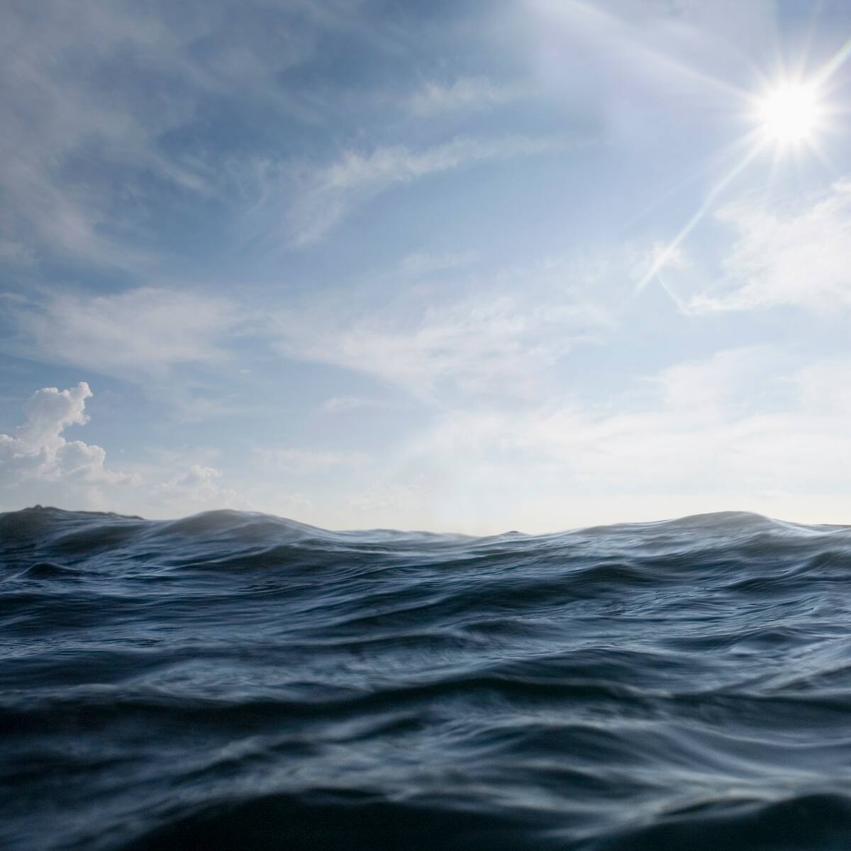 ¿Quieres asistir al pase especial de 'OCEAN'? LOS40 Eco te invita a ver la película de David Attenborough