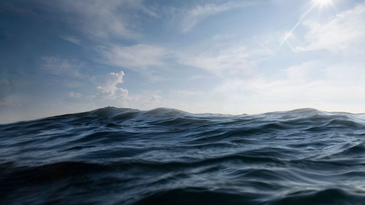 ¿Quieres asistir al pase especial de 'OCEAN'? LOS40 Eco te invita a ver la película de David Attenborough