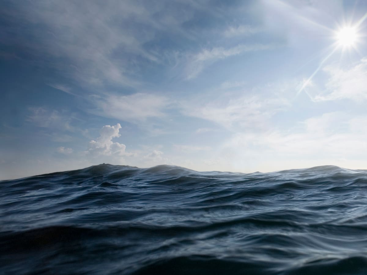 ¿Quieres asistir al pase especial de 'OCEAN'? LOS40 Eco te invita a ver la película de David Attenborough