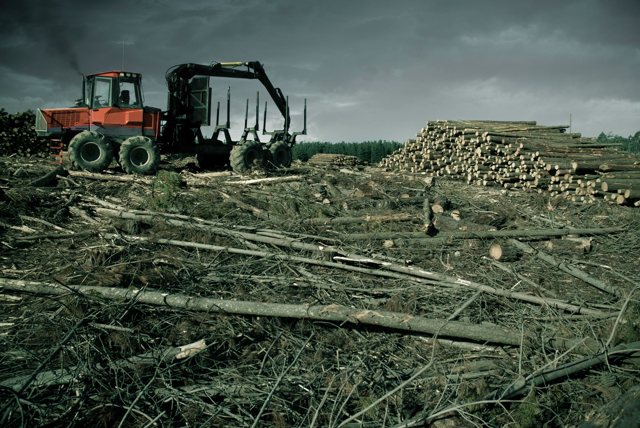 El extractivismo está detrás de prácticas como la deforestación.