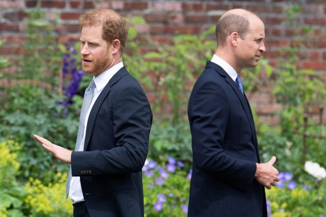 Los príncipes Harry y Guillermo visitando la estatua en honor a su madre.