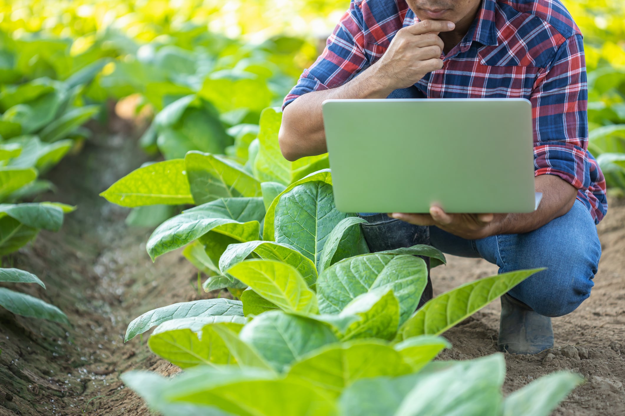 Hay matices &quot;oscuros&quot; que se deben resolver en el tema de la agroecología