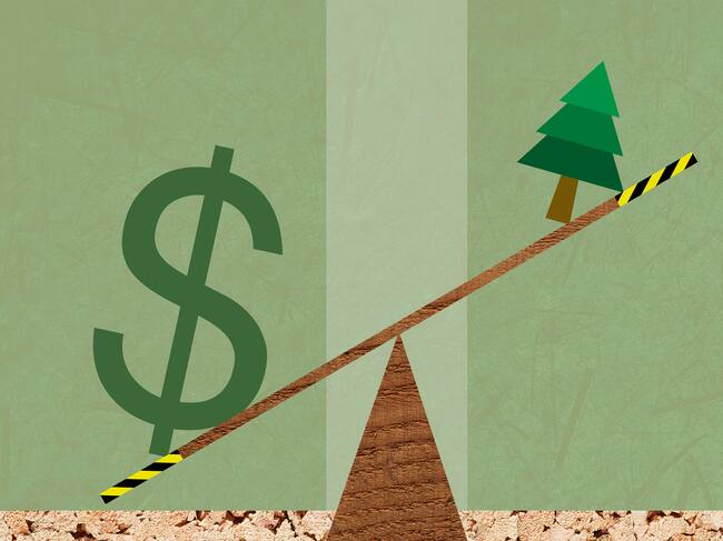 La deforestación, cuestión de intereses económicos.
