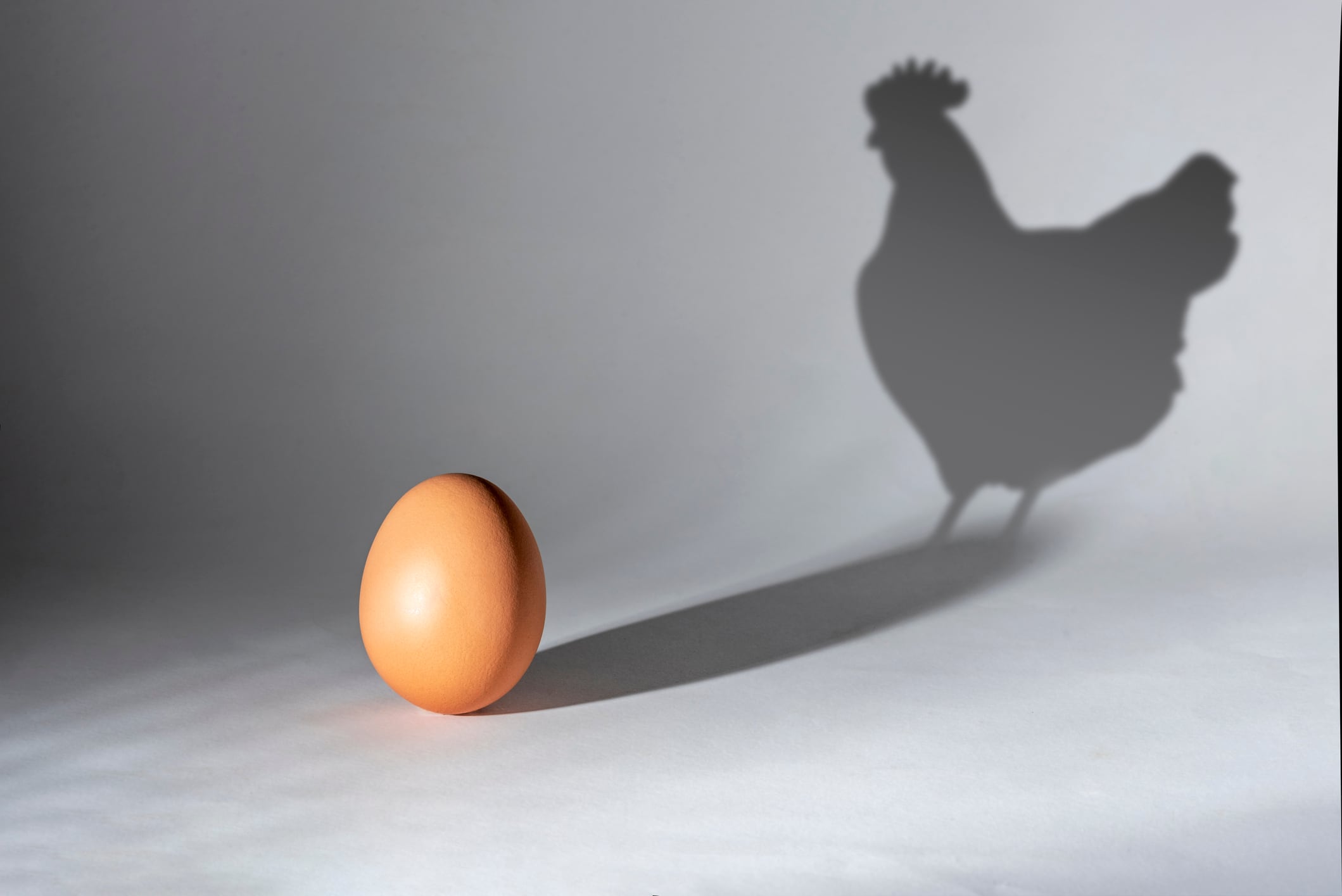 ¿Qué impacto ambiental tienen los huevos?