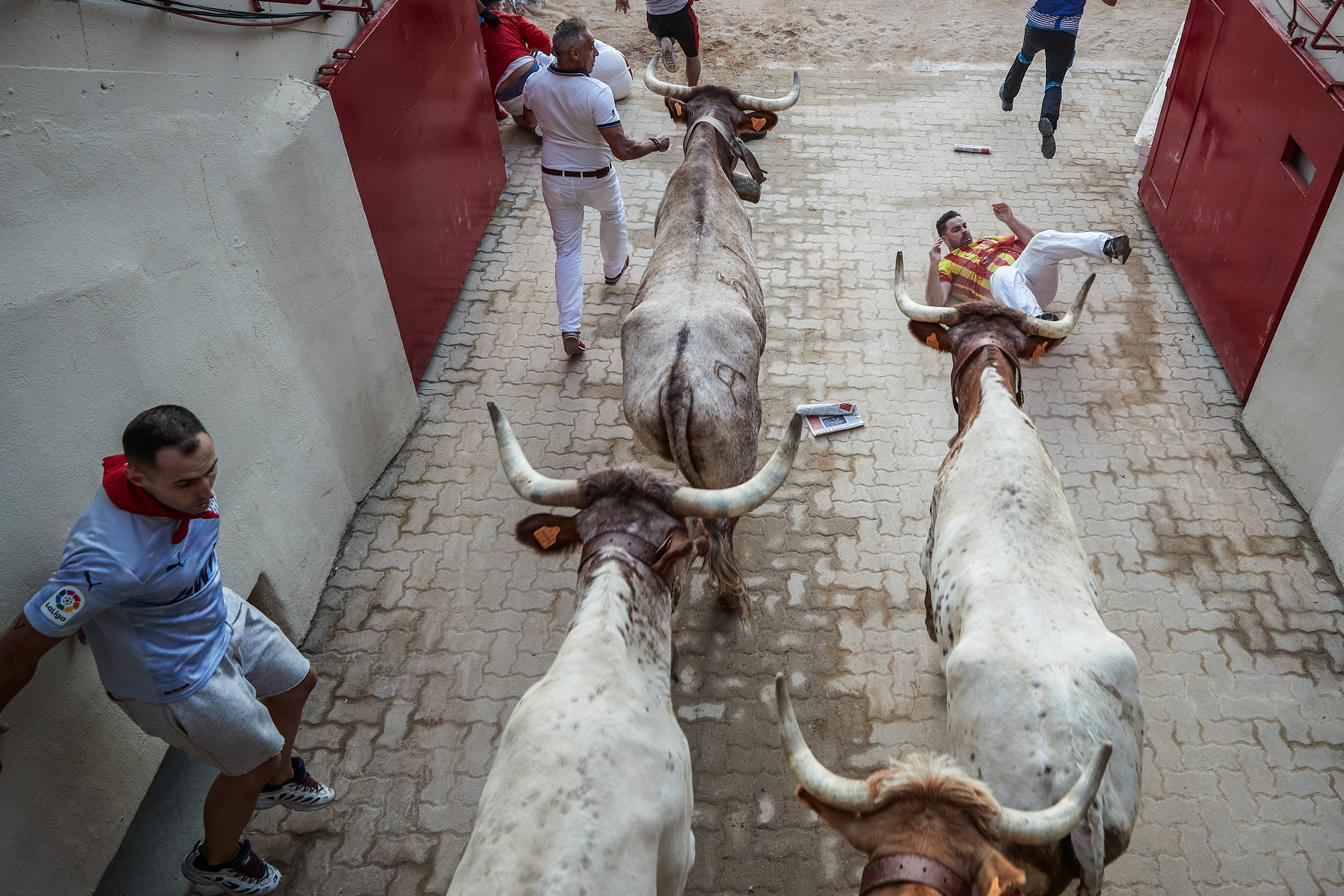 Un encierro de San Fermín 2024.