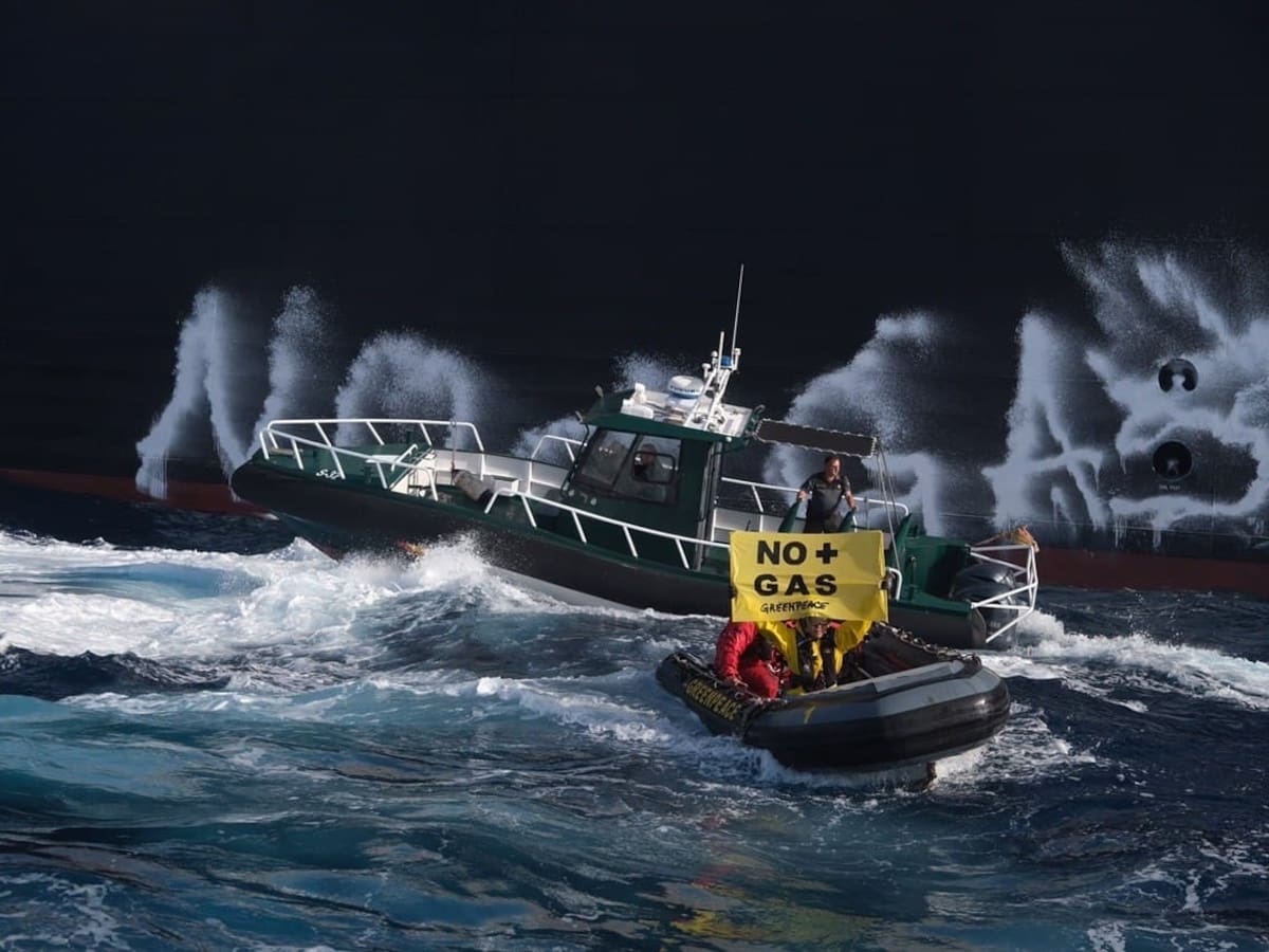 Cinco años de cárcel por defender el medio ambiente: el juicio que arrincona a Greenpeace