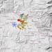 Granada se echa a la calle tras varios terremotos seguidos y las redes sociales se inundan de memes
