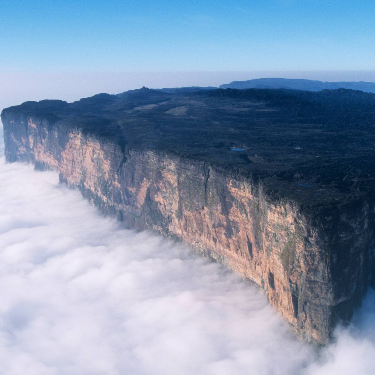Así son los 'montes isla': maravillas naturales que se encuentran bajo amenaza