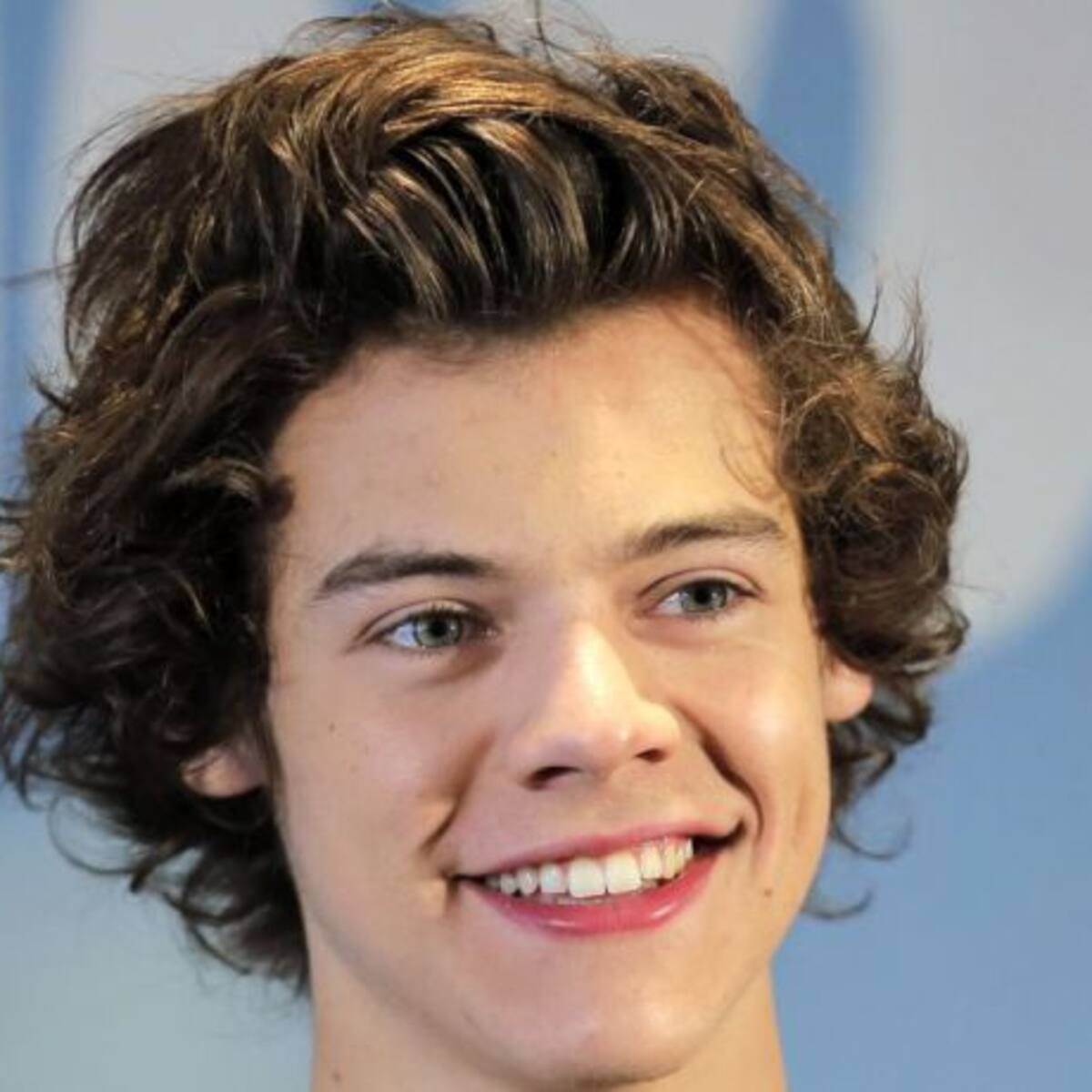 ¿Harry Styles también deja One Direction?