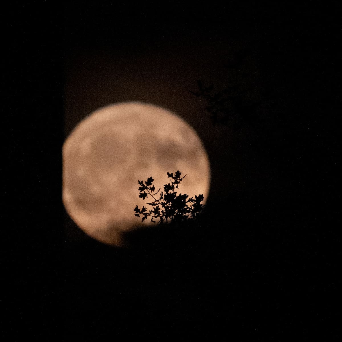 Calendario lunar de junio 2026: todas las fases lunares de este mes