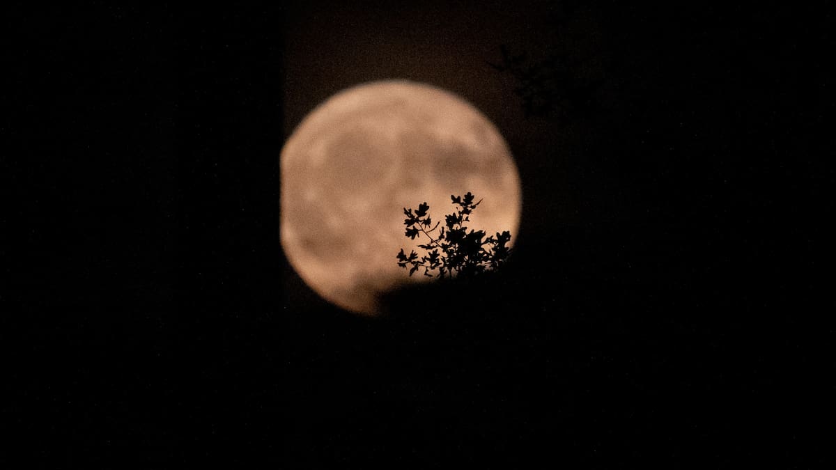 Calendario lunar de junio 2026: todas las fases lunares de este mes