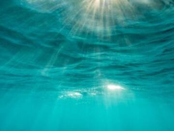 La importancia de proteger los océanos: ¿aún estamos a tiempo?