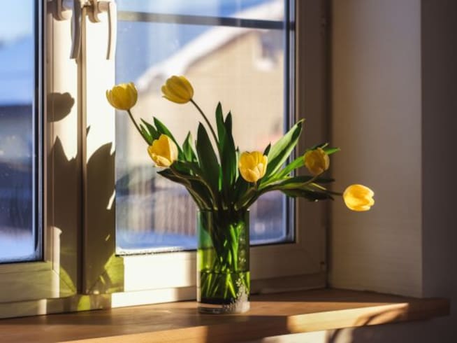 Jarrón con flores amarillas posadas frente a la ventana.