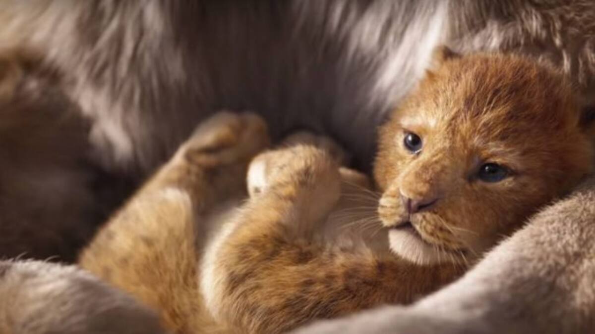 ¡Preparen sus pañuelos! Tenemos el nuevo tráiler de 'El Rey León'