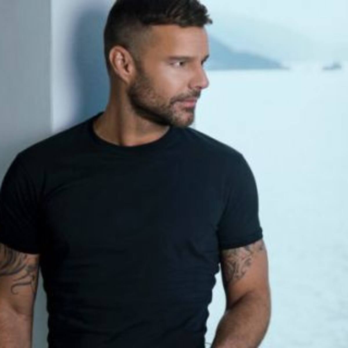 Nuevo integrante: Ricky Martin agrandó la familia