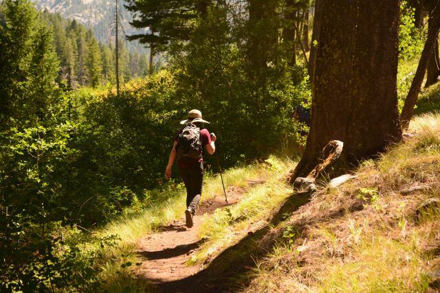 Una dosis de bosque para sanar