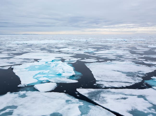 Las consecuencias del calentamiento global pueden ser devastadoras.