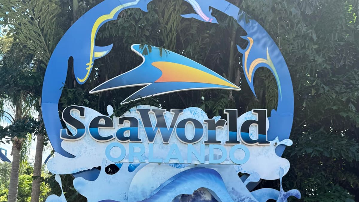 SeaWorld: un salvavidas para la vida marina: la historia detrás de su programa de rescate animal