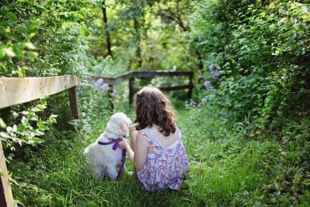 Tu amor se expande cuando tienes a un canino cerca