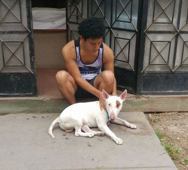 Estudiante hace su tesis sobre el duelo que sufrió cuando falleció su perrito