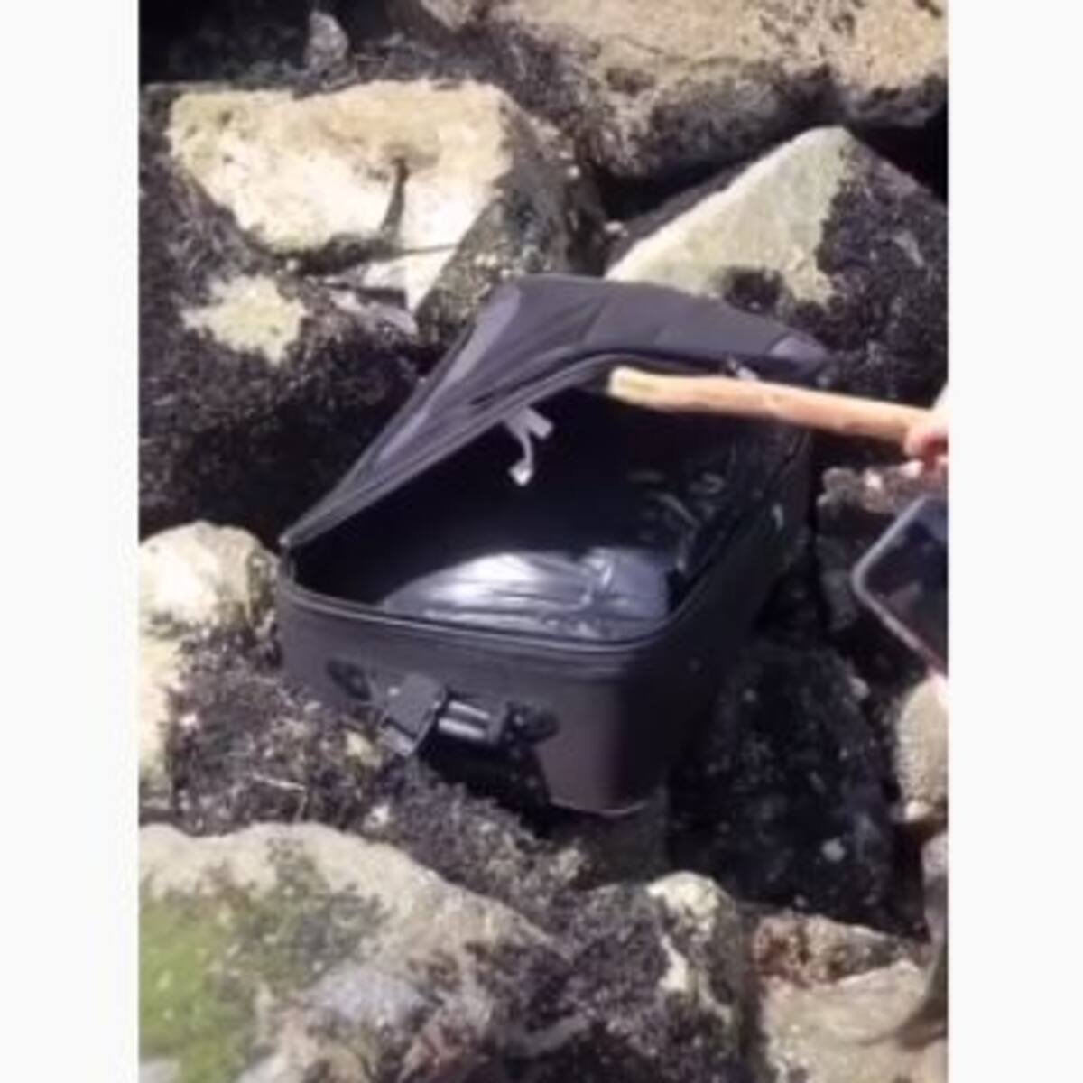 Grababan un video para Tik Tok y encontraron una valija con algo asqueroso